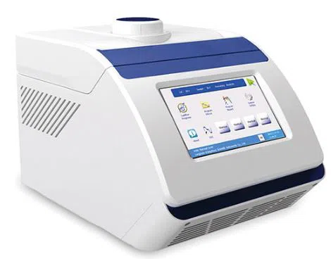 PCR 01