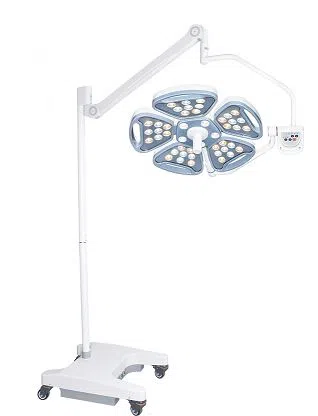 领导。MSTZ5AC特区